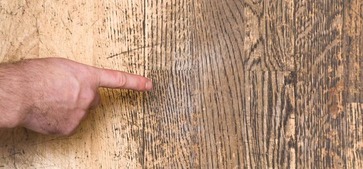Wood Door Scratch Repair in San Mateo